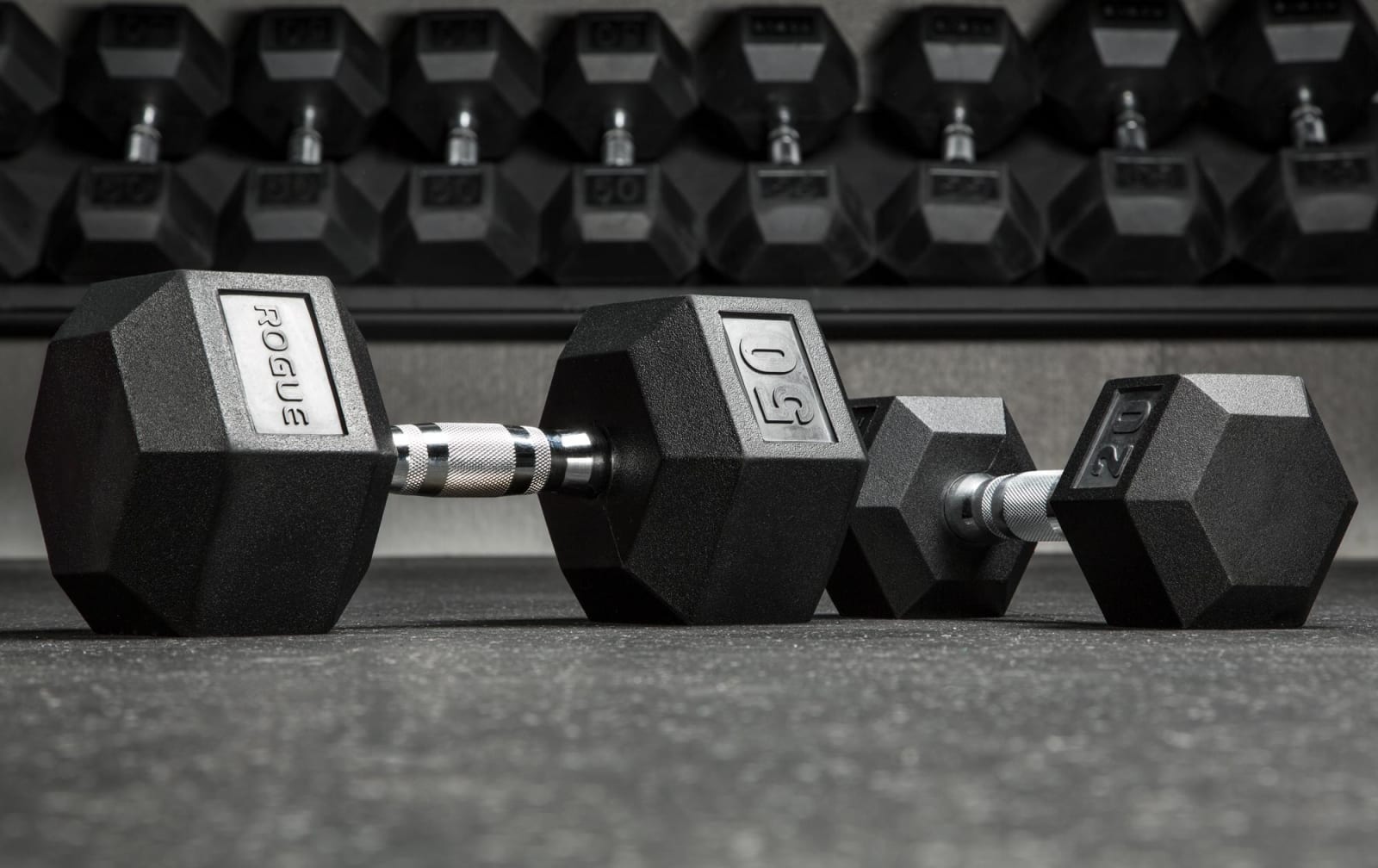 Rogue free weight set outlet